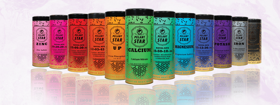 پلنت استار قوطی